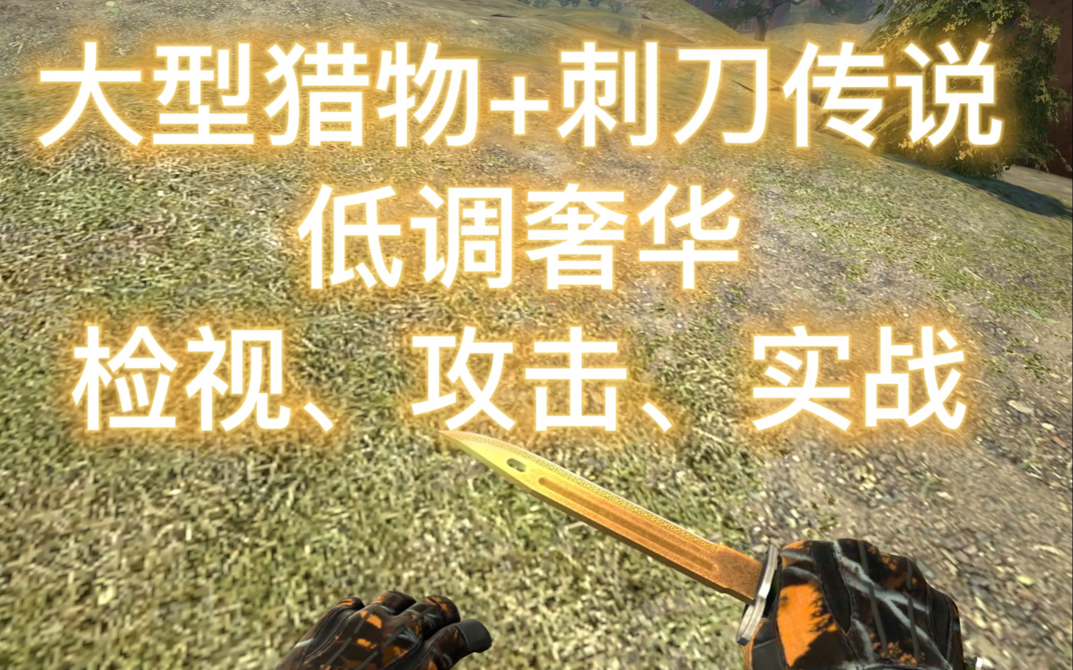 CSGO搭配：大型猎物+刺刀传说+皇后（附实战）-AYCS2-AYCS2-哔哩哔哩视频