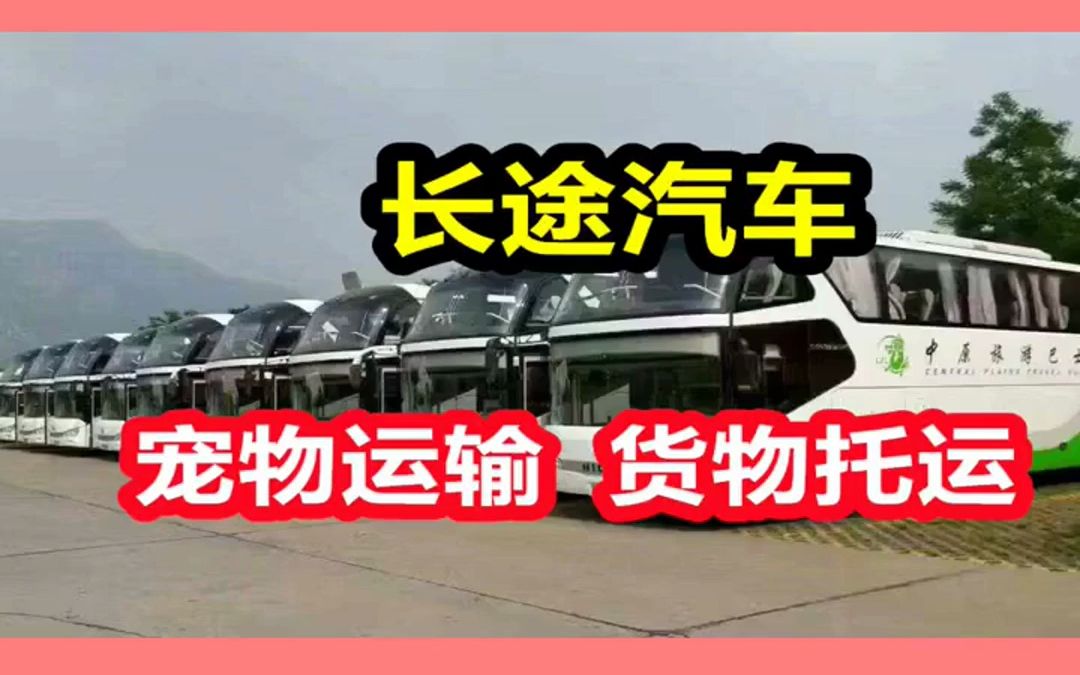 路桥到淮北的客车班车15858669968路桥到淮北客车汽车<方便快捷哔哩哔哩bilibili