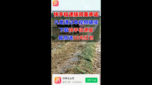 快手极速版吐槽哔哩哔哩bilibili