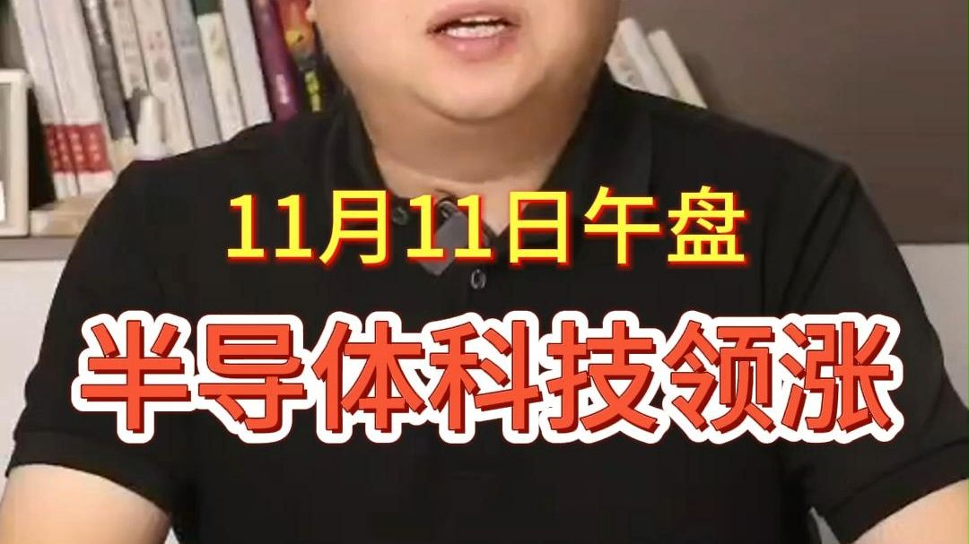 11月11日午盘 | 半导体科技领涨,白马蓝筹大跌哔哩哔哩bilibili