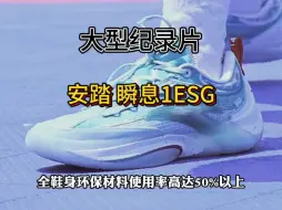 Descargar video: 安踏 瞬息1ESG测评