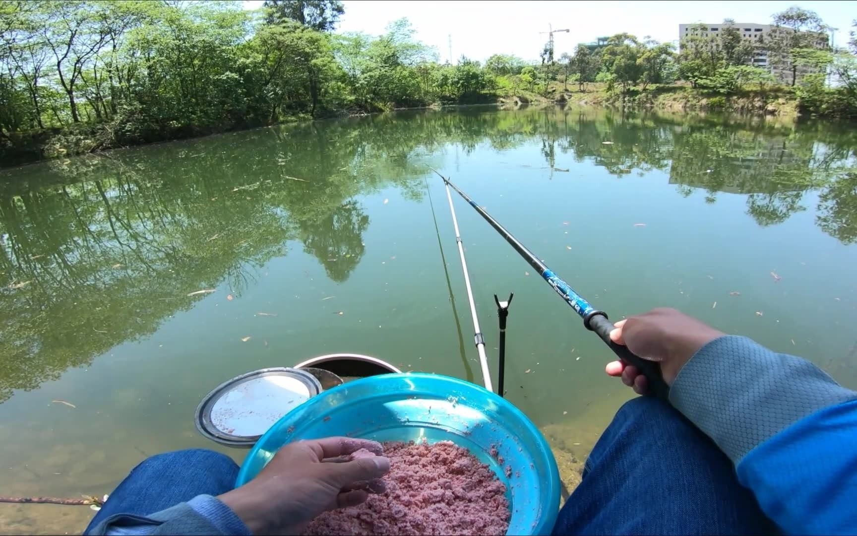 手竿钓鲢鳙,连竿上鱼真过瘾,鱼线拉得吱吱响!