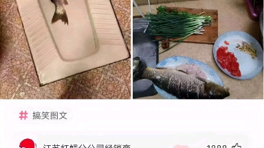 [图]假如当时送信的不是和尚，换成张大喵结局会怎么样，封面这种情况你该怎么回复