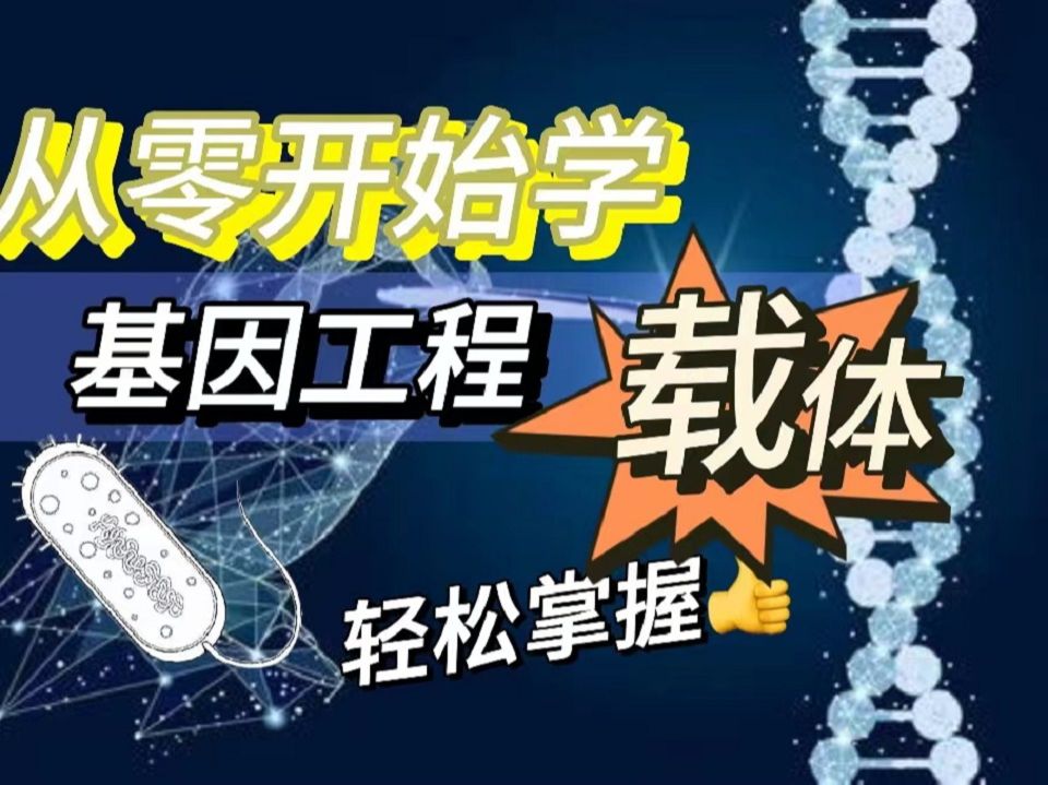 从零开始学基因工程:揭秘“载体”,让小白也能轻松掌握(一)哔哩哔哩bilibili