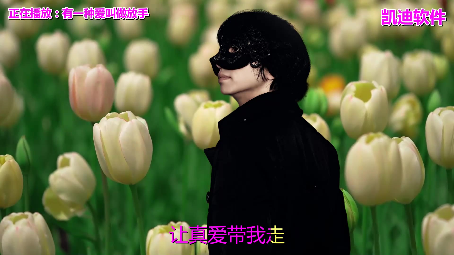 国语经典老歌500首怀旧歌名《有一种爱叫做放手》