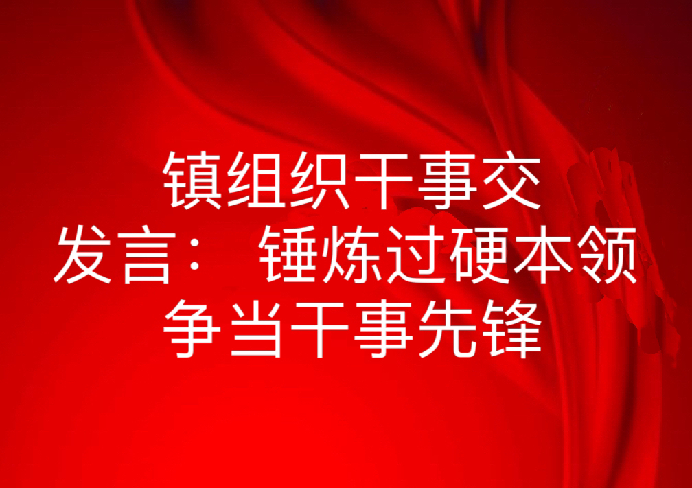 镇组织干事交发言: 锤炼过硬本领 争当干事先锋哔哩哔哩bilibili