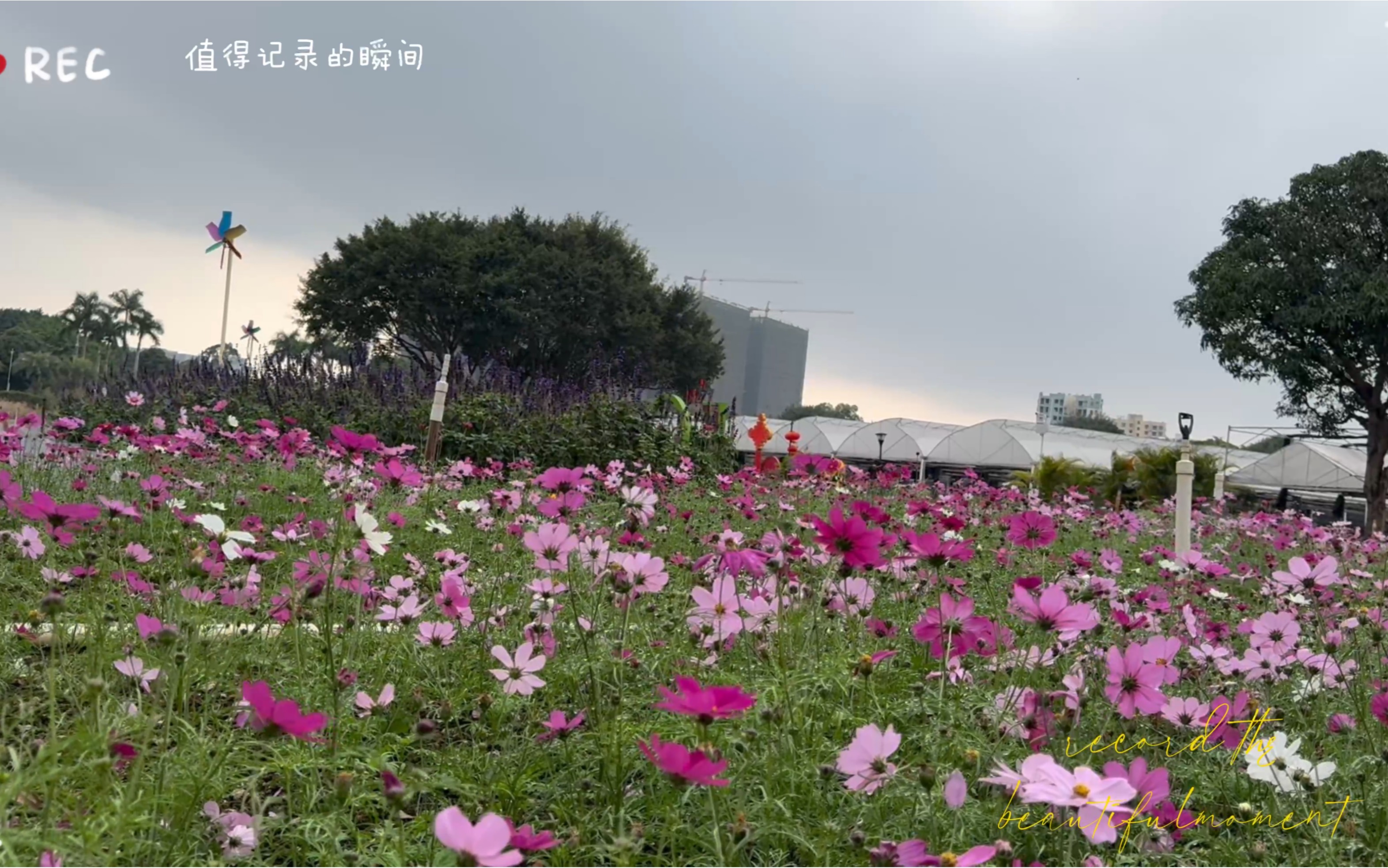 南宁花卉公园2022图片