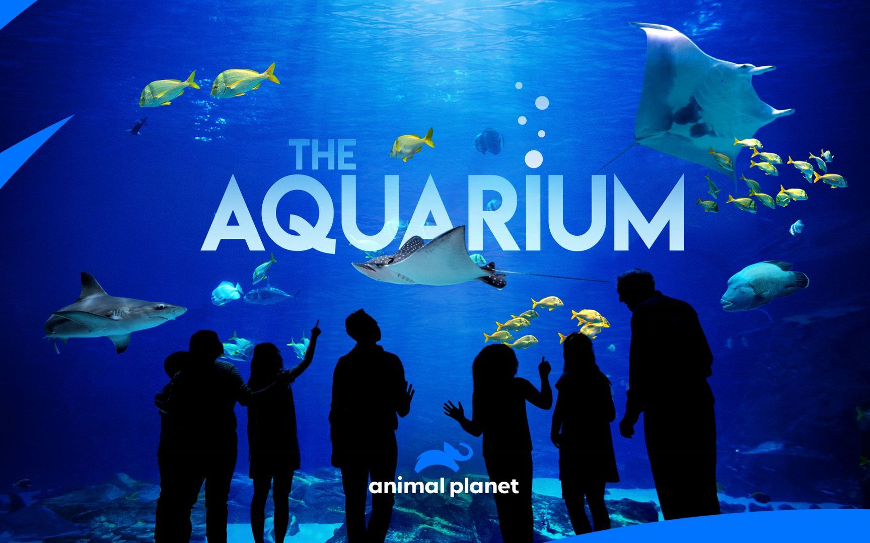 the aquarium season 1 2019_哔哩哔哩_bilibili