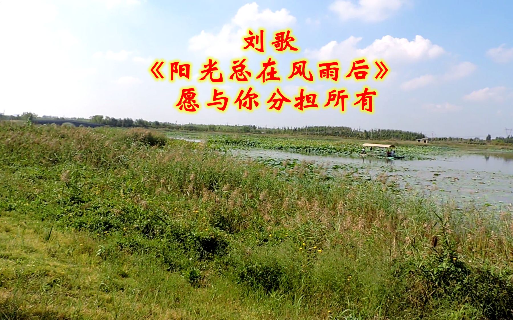 刘歌一首《阳光总在风雨后》,愿与你分担所有