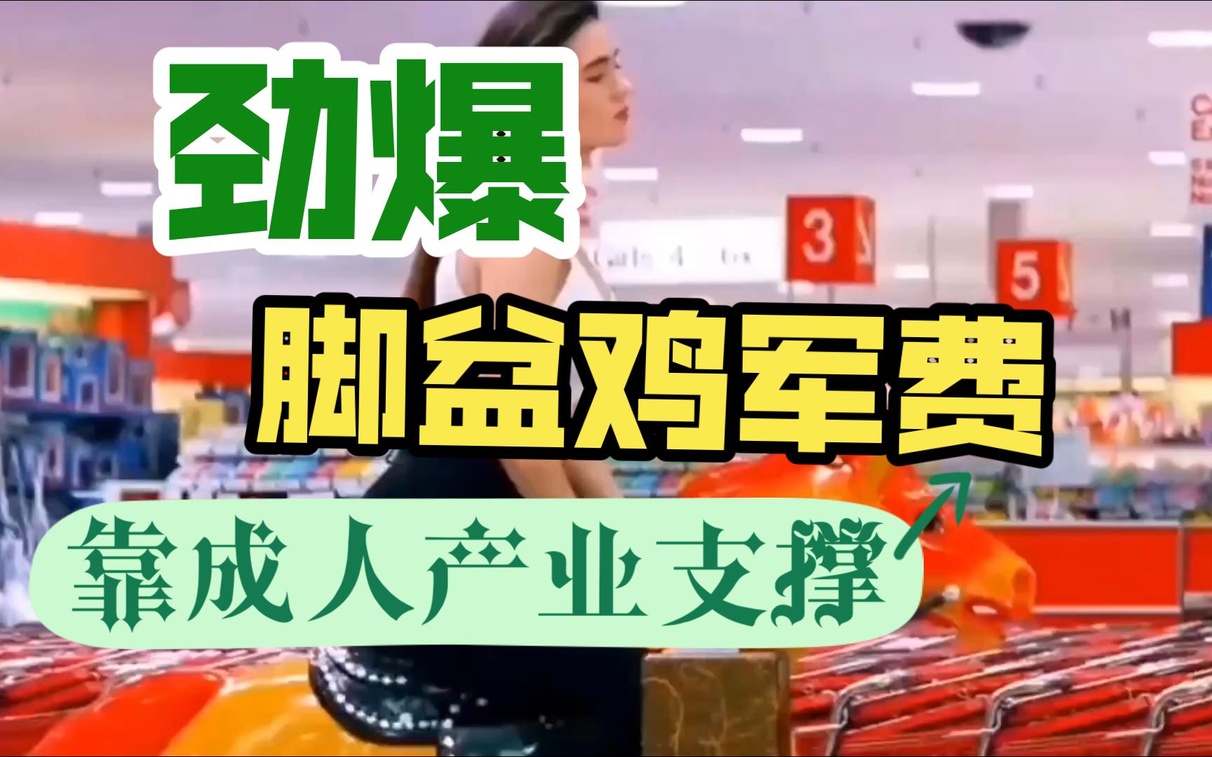 日本的成人产业到底有多暴利?连军费都是成人产业支撑的哔哩哔哩bilibili