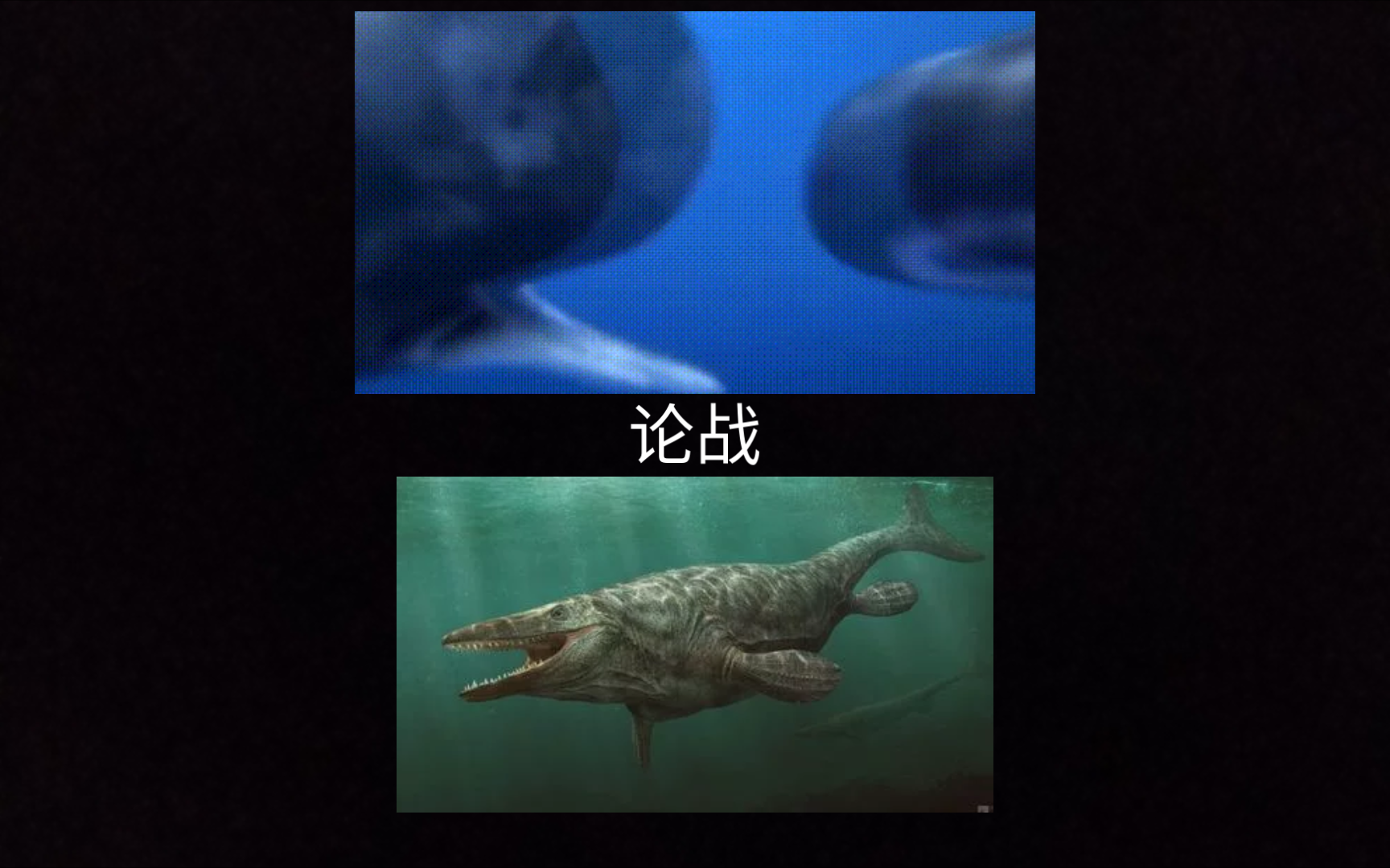 极限船首海王龙vs雌抹香鲸