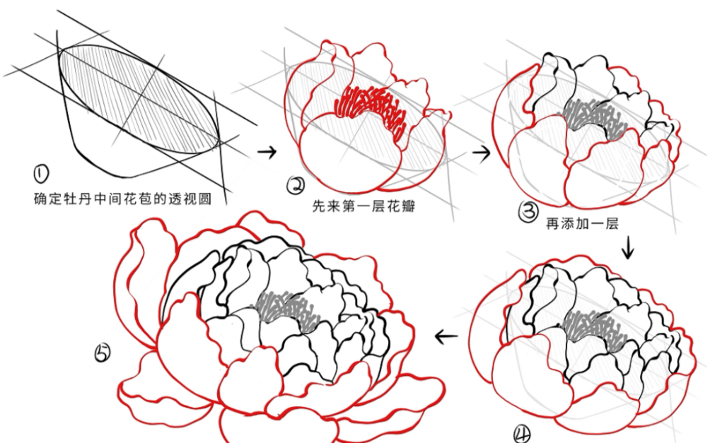 淮南子牡丹花画多少价图片