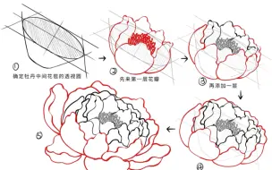 Tải video: 简单几步教你画牡丹花，牡丹画法思路拆解！