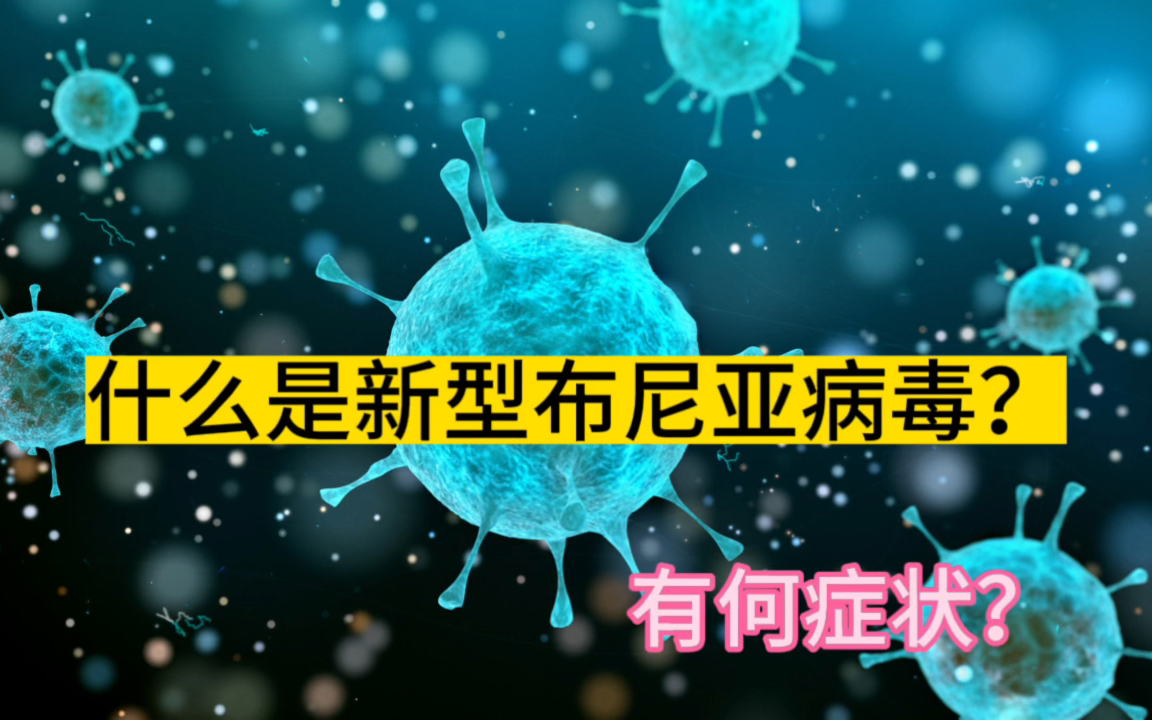 什么是新型布尼亚病毒?有何症状?