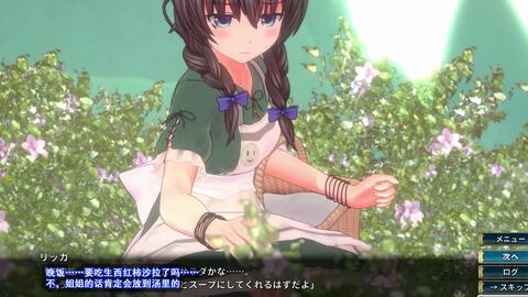 自烤熟肉 圣骑士莉卡的物语第一话后半部分剧情 哔哩哔哩