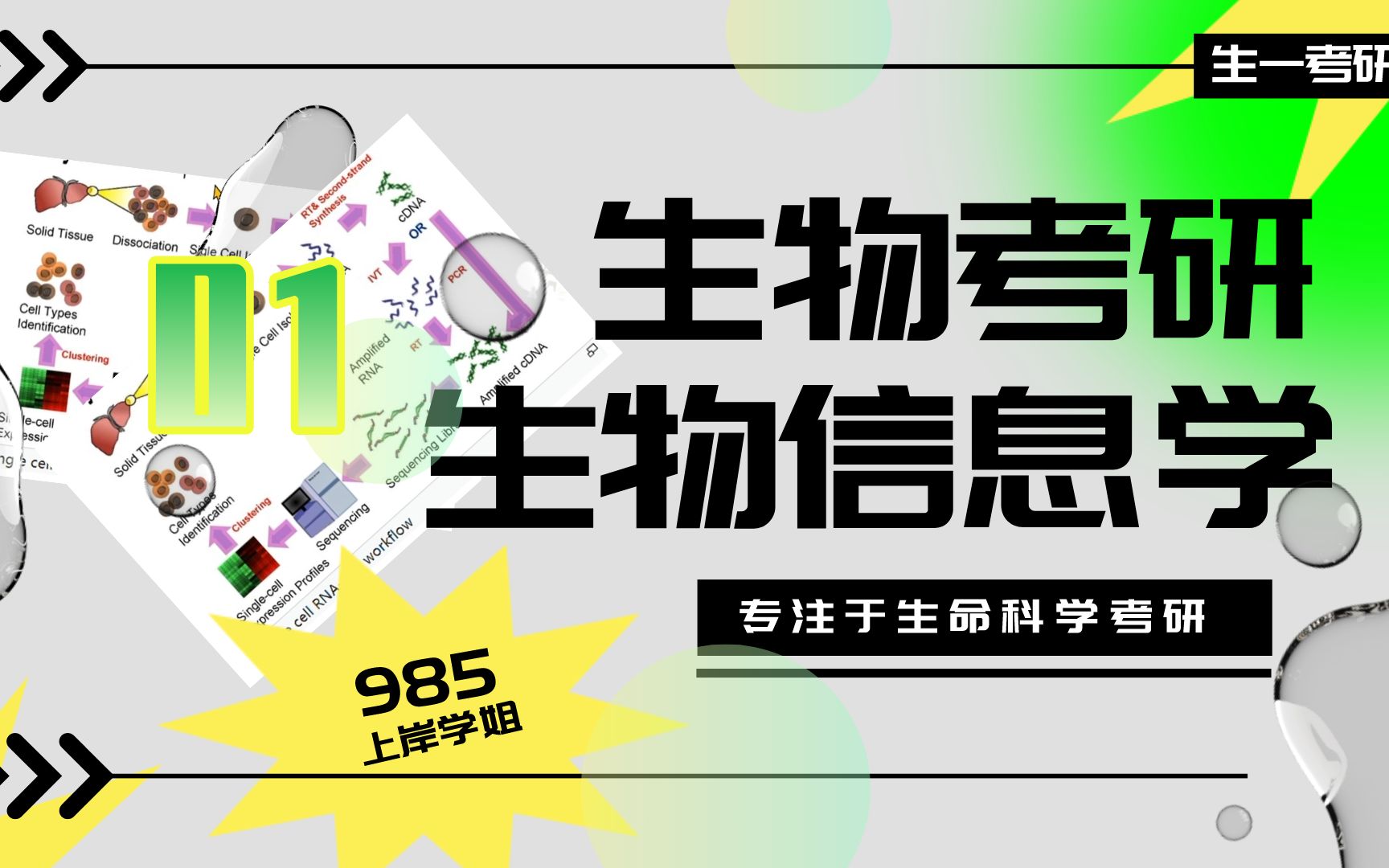 生物考研——考研专业的选择,什么是生物信息学?和细胞、生化有什么区别?专业课会考些什么?(第一节)哔哩哔哩bilibili