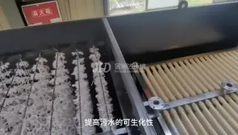 火锅底料厂污水处理设备系统介绍 #火锅底料厂污水处理设备 #食品厂污水处理设备