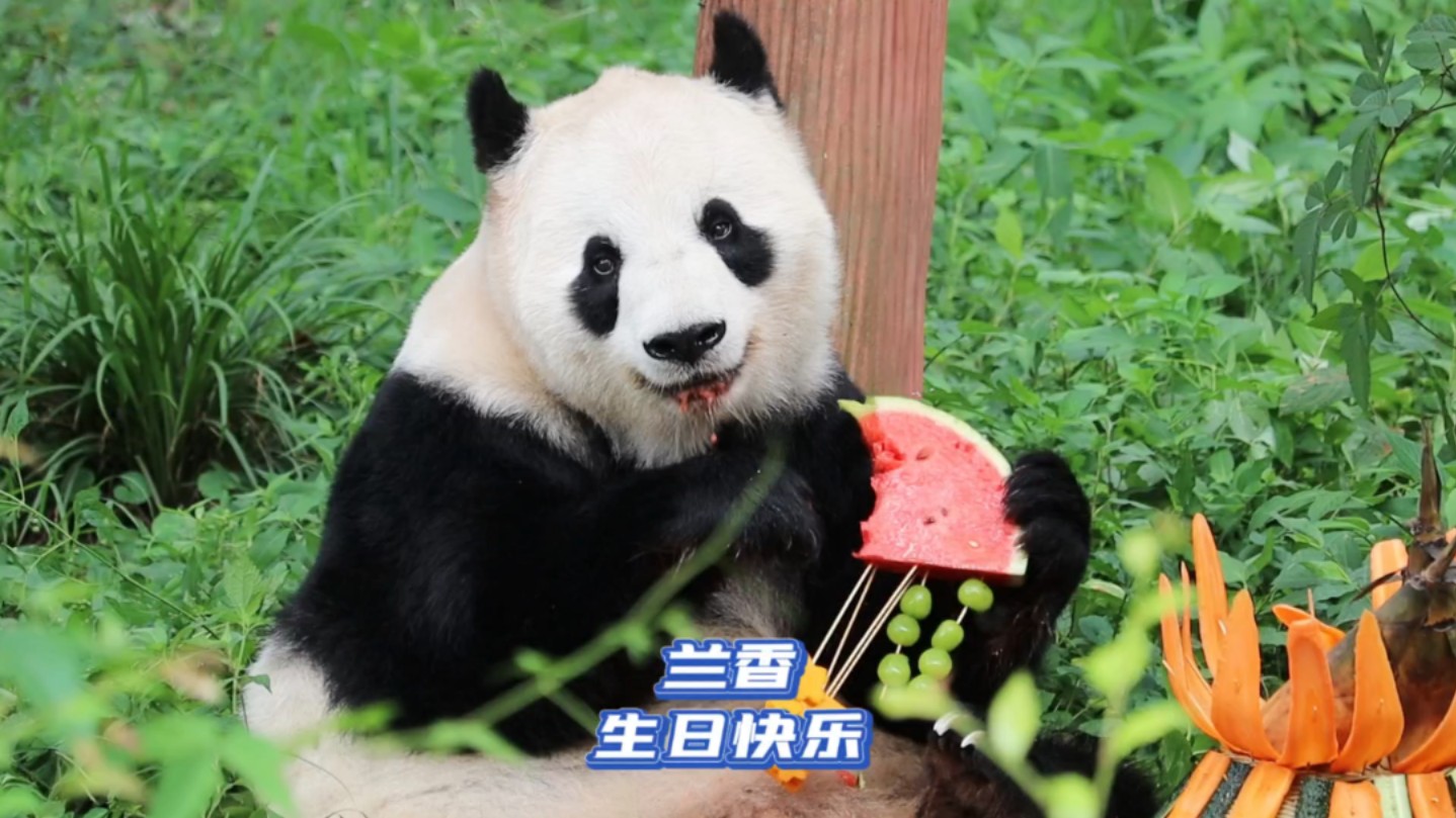 祝兰香生日快乐,吃嘛嘛香,身体倍棒!