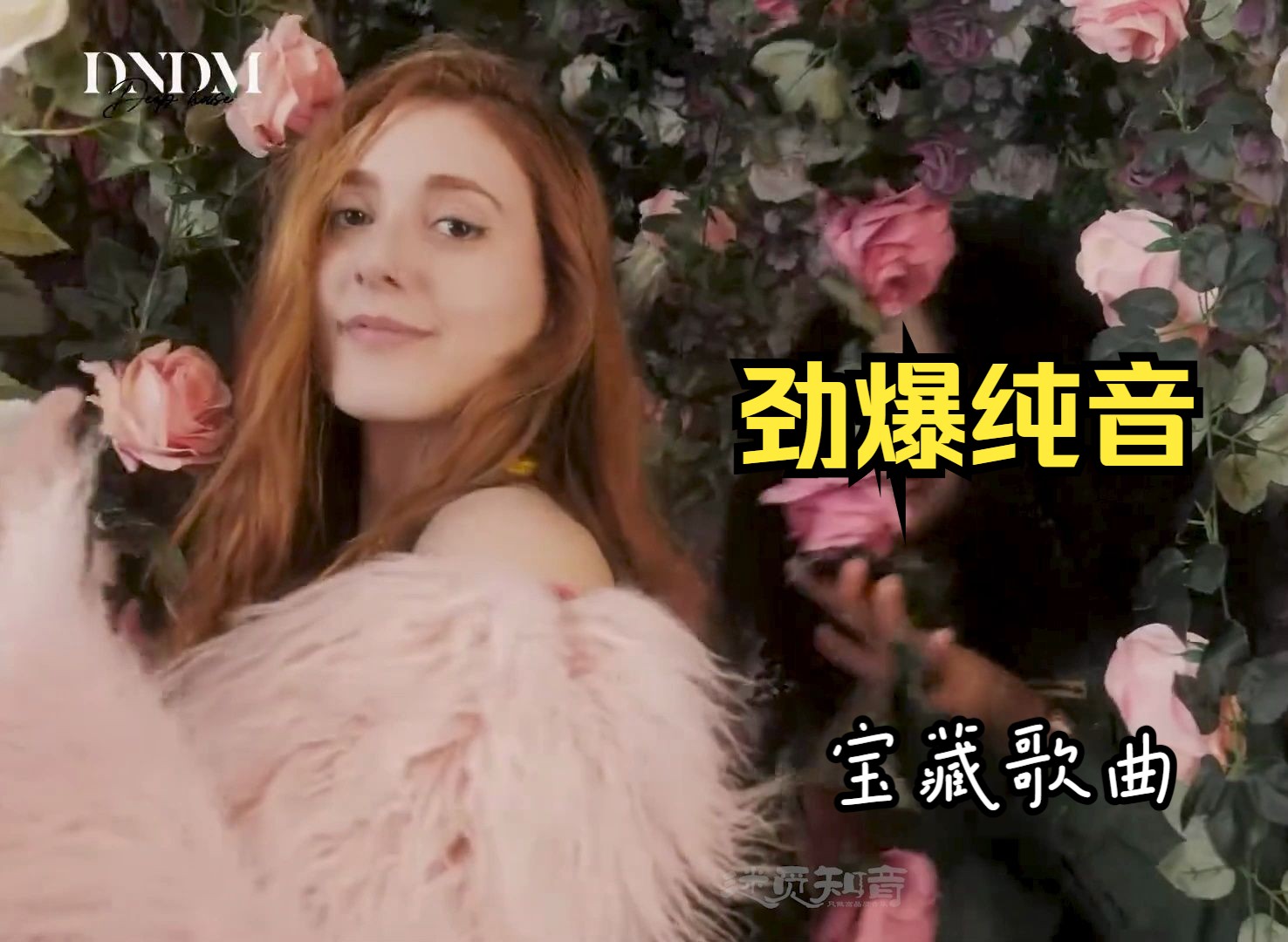 【劲爆纯音·精】《moonshine in corea》激情奔放,浪漫而悠扬!