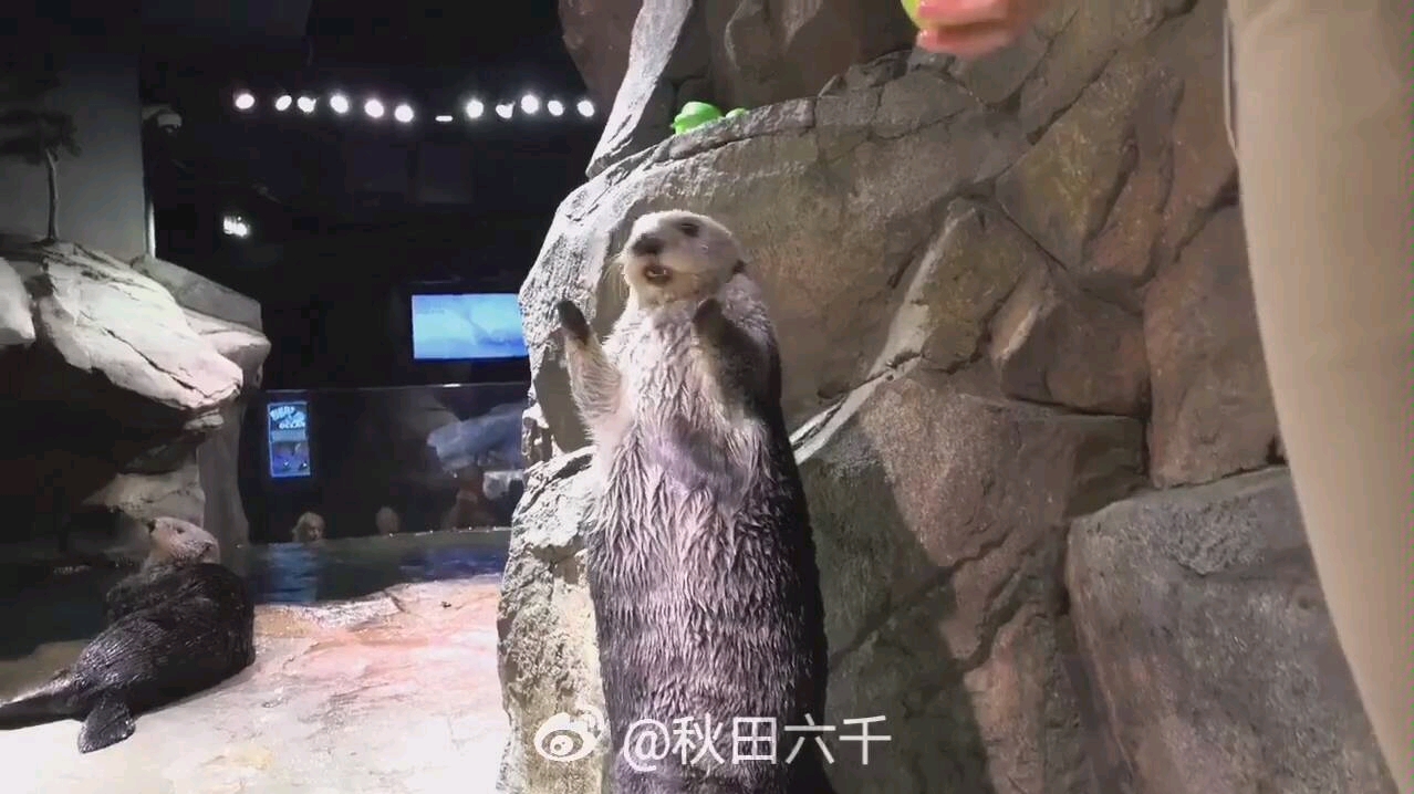 [图]zookeeper 动物园管理员