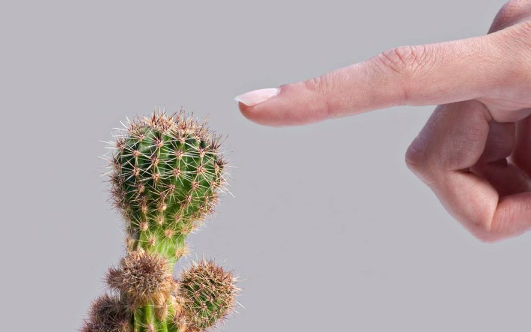 手指扎入木刺难祛除怎么办?