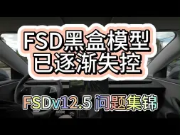 Video herunterladen: FSDv12开始不断反向优化，FSDv12.5部分翻车视频