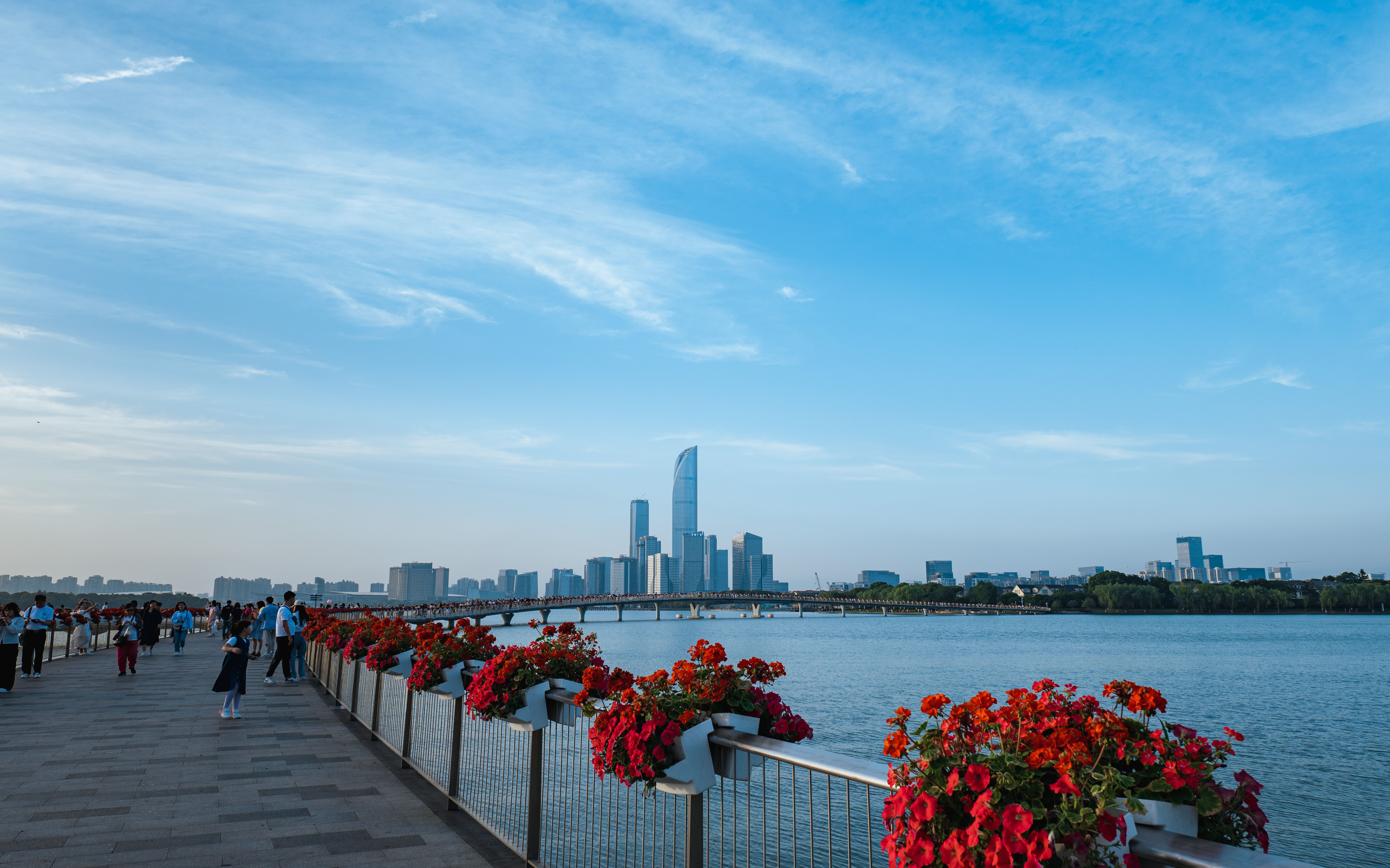 苏州金鸡湖栈道移动延时