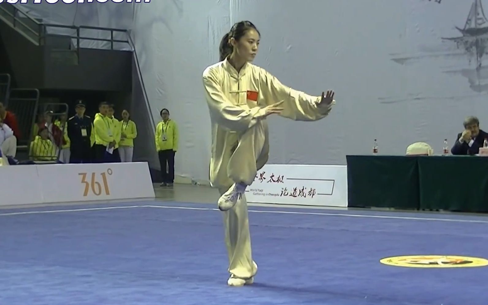 [图]陈式五十六式 | 第一届太极拳2014世界太极拳锦标赛 | 女子A组冠军 Haoying DU