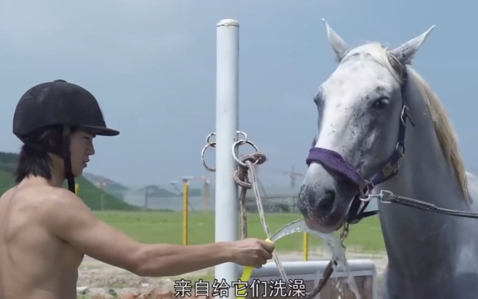 [图]我给它，苹果🍎～得亏有你，小马🐎