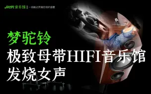 Download Video: 梦驼铃 秦关已故母带情录无损高保真HIFI音乐馆绝烧女声5.1声道盛宴