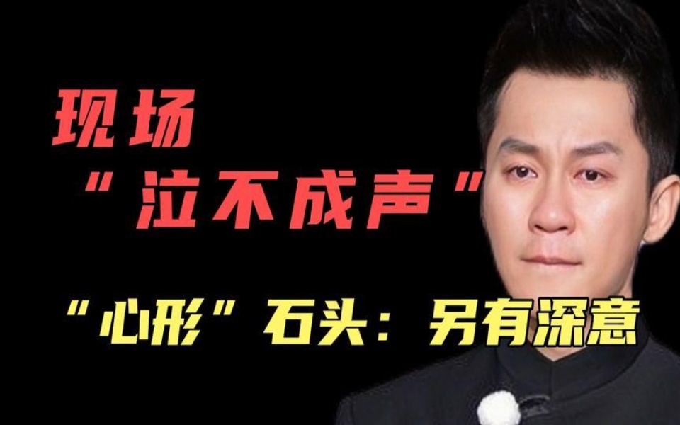 李晨:“心形”石头事件,另有深意?现场“泣不成声”!哔哩哔哩bilibili