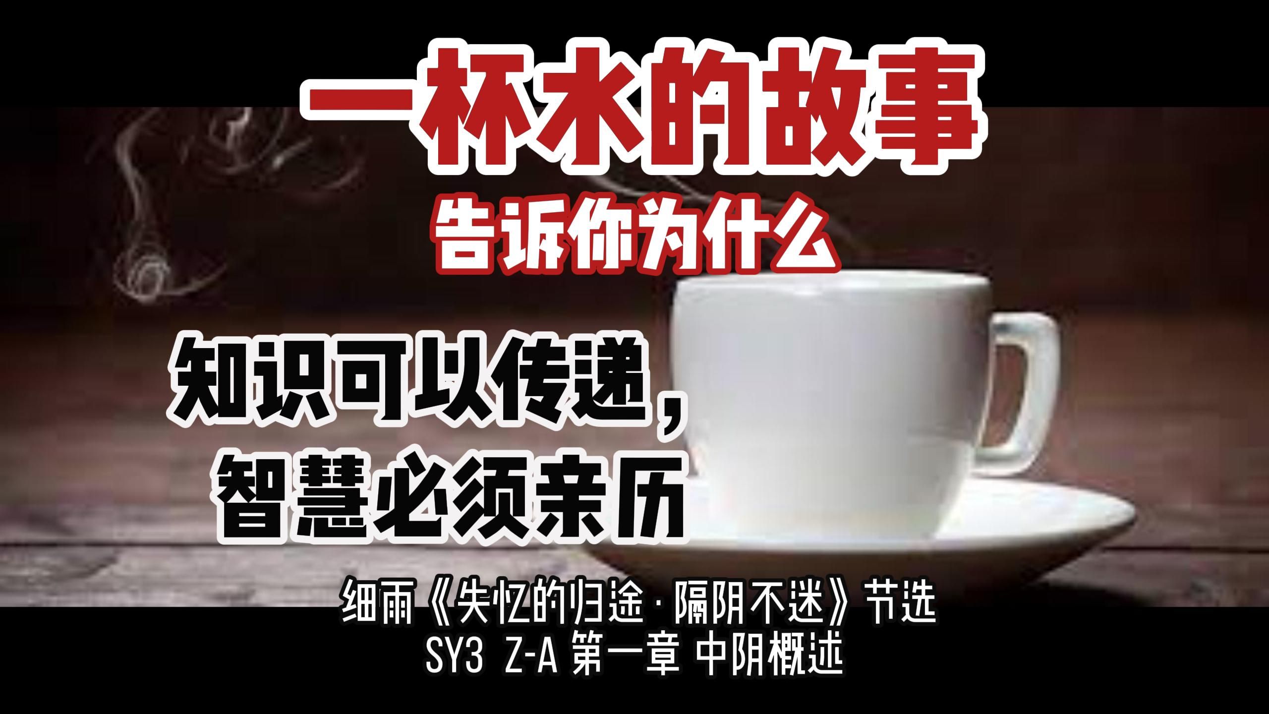 一杯水 的故事 告诉你 为什么 知识可以传递,智慧必须亲历 细雨《失忆的归途 ⷠ隔阴不迷》节选 SY3 ZA 第一章 中 阴 概述哔哩哔哩bilibili