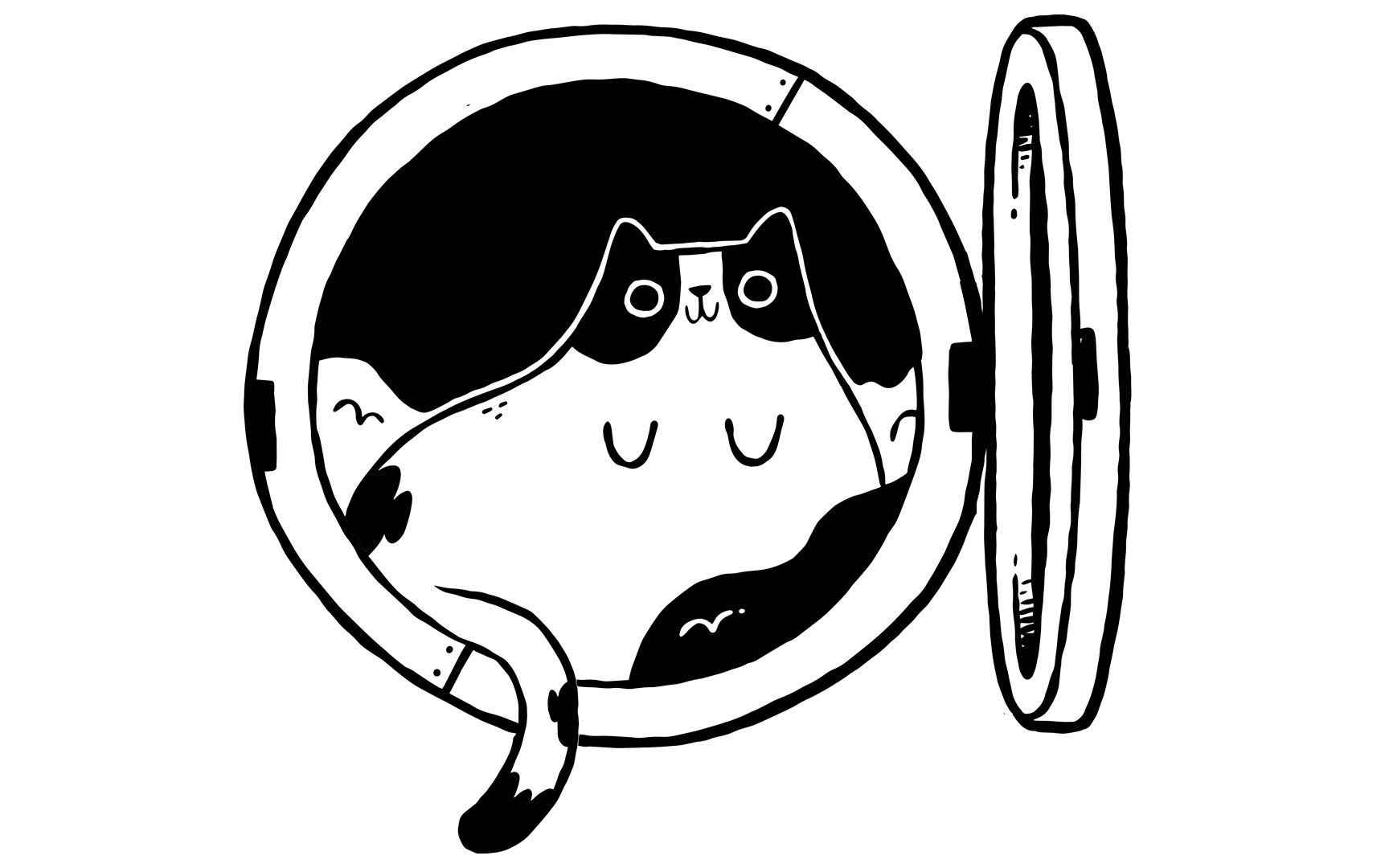 【mg动画】临摹猫咪【超棒mg动画】适合临摹的35个精选mg动画