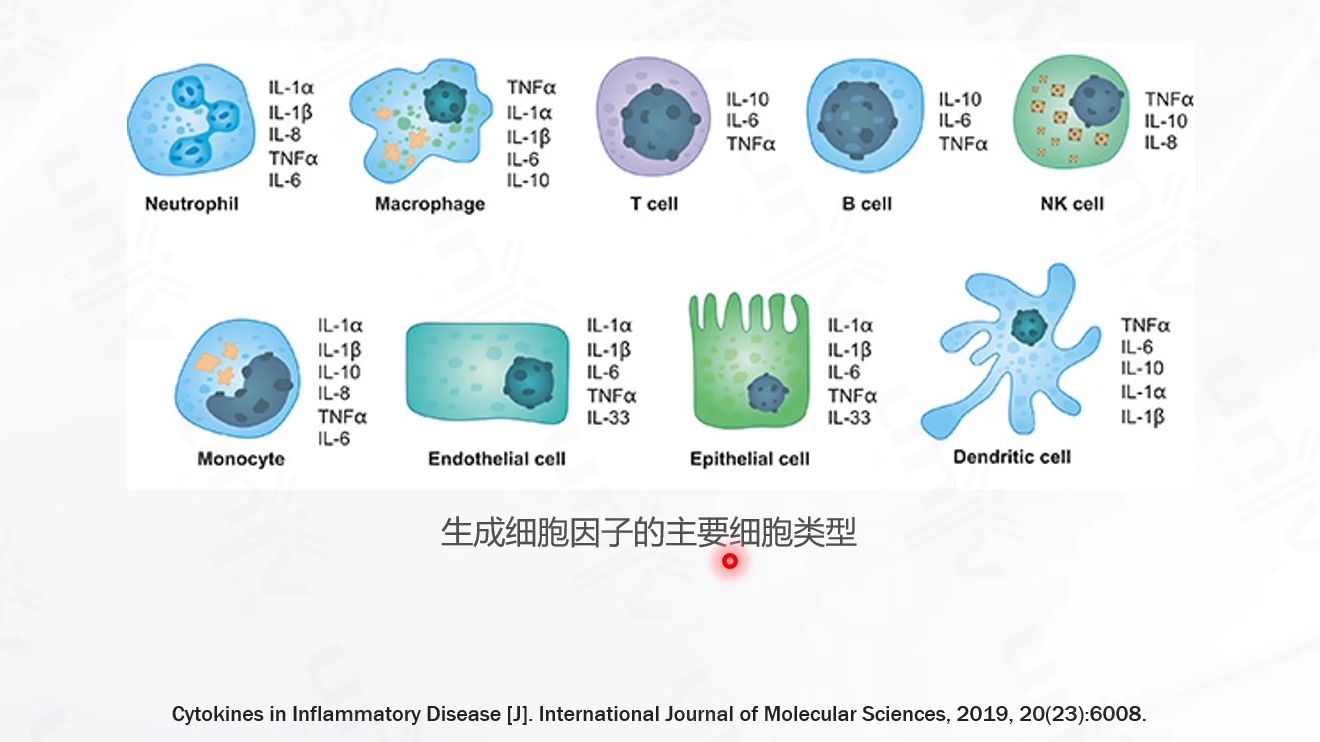 细胞因子检测全面解决方案哔哩哔哩bilibili