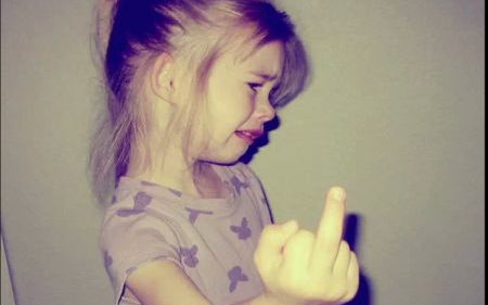 如果对狗竖中指