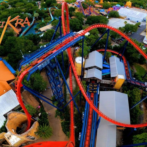 Montu Roller Coaster POV at Busch Gardens Tampa