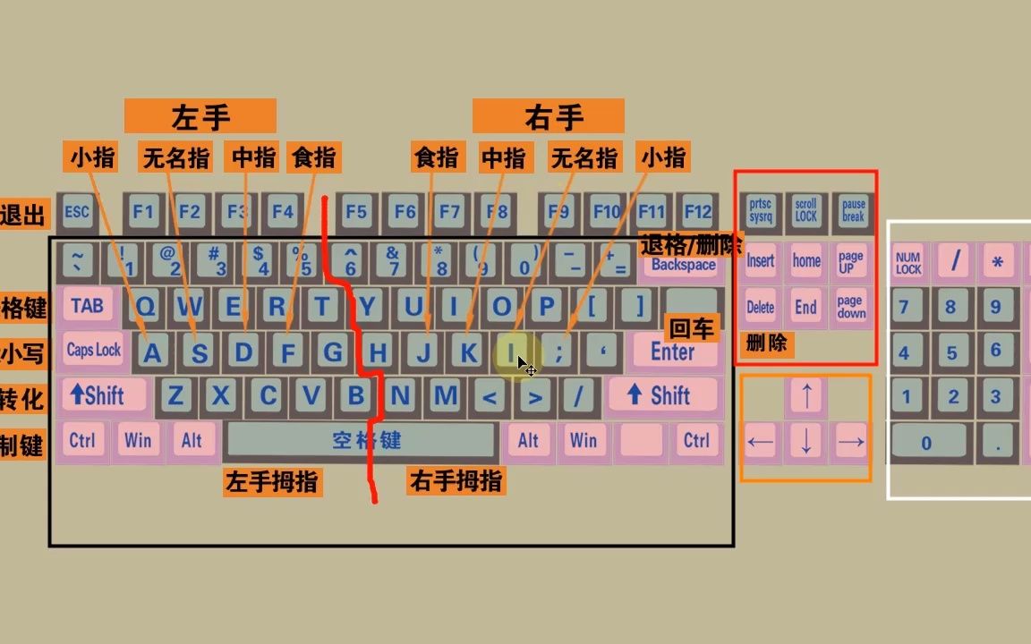 零基础电脑知识,掌握键盘标准指法,打字速度和准确率都可以提高哔哩哔哩bilibili