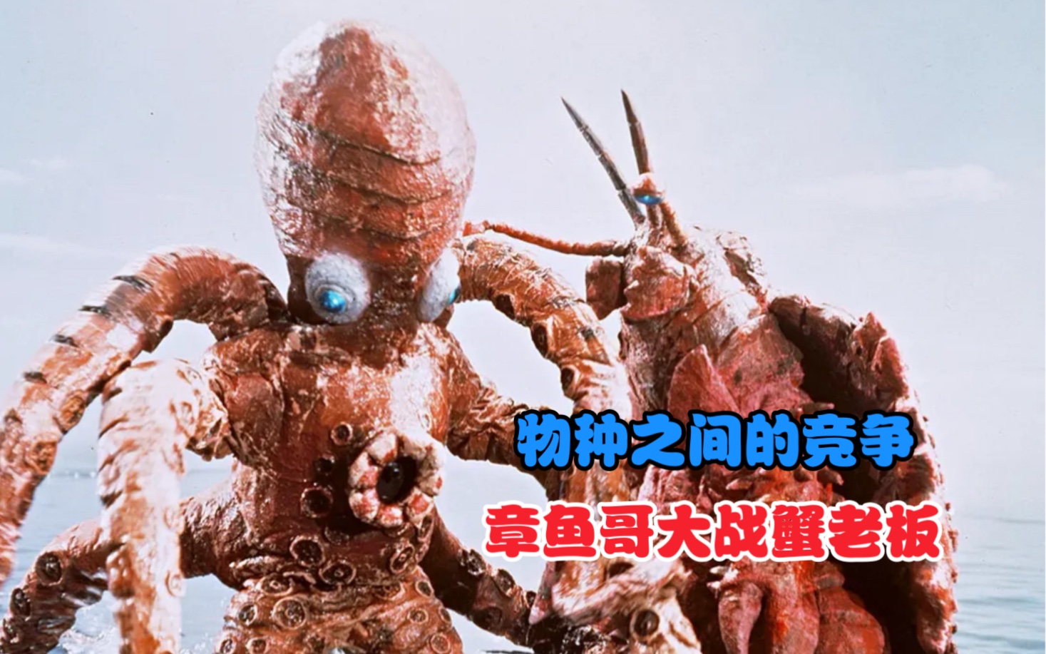 【泰罗奥特曼解说07】会移动的海岛竟然是螃蟹怪兽?