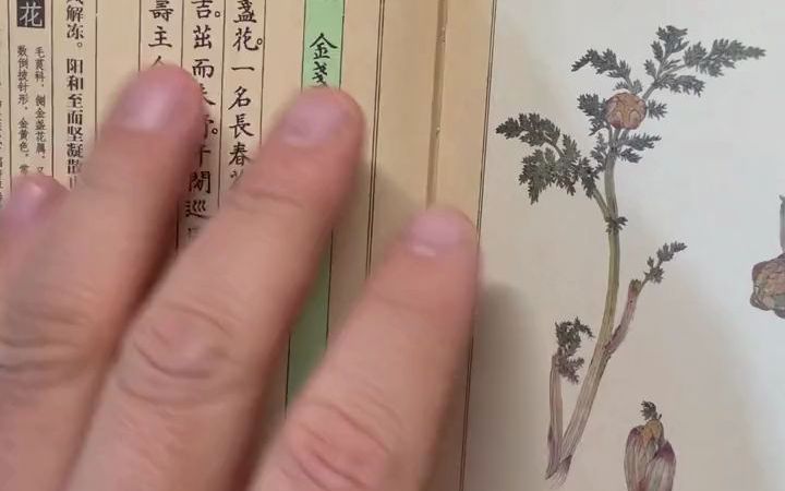 [图]【文学分享】《花开未觉岁月深》：二十四节气七十二候花信风