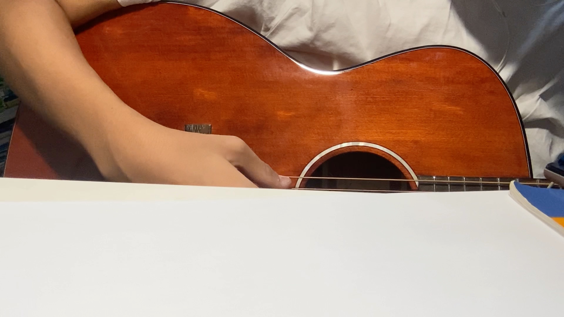 新裤子—夏日终曲