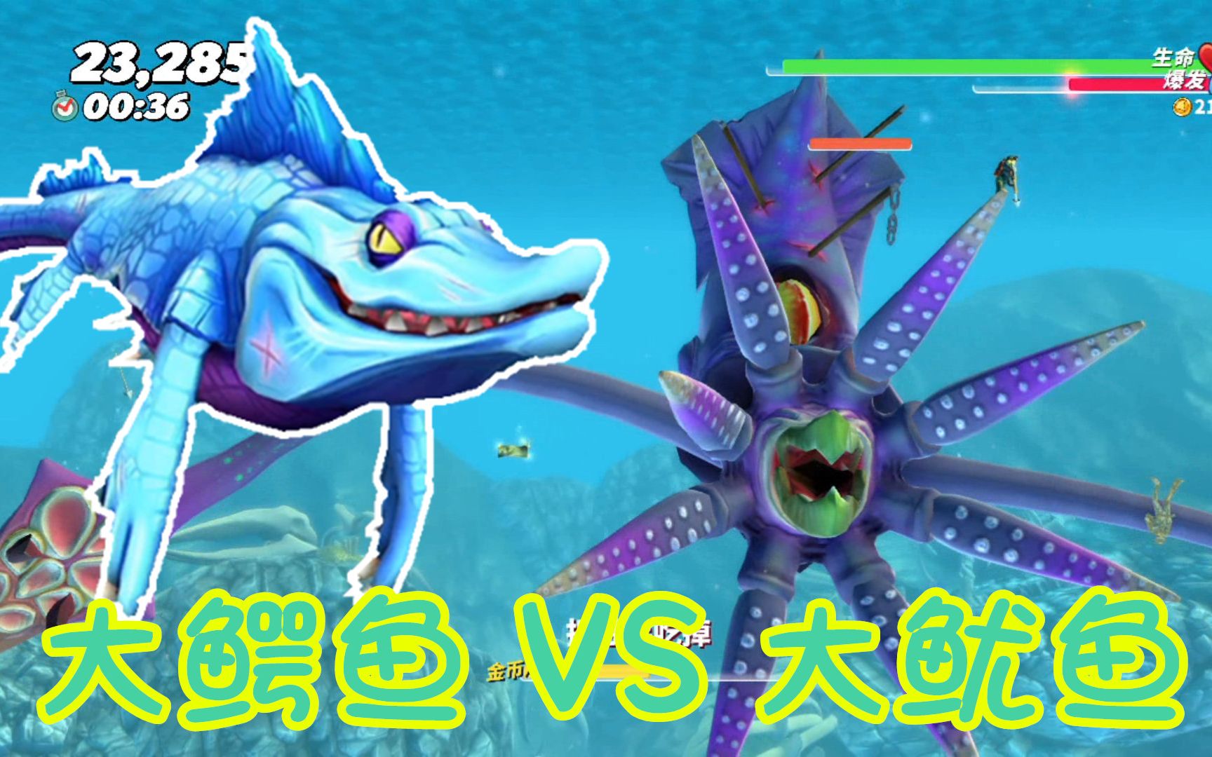 z小驴ns饥饿鲨世界快跑先生大鳄鱼大战大章鱼