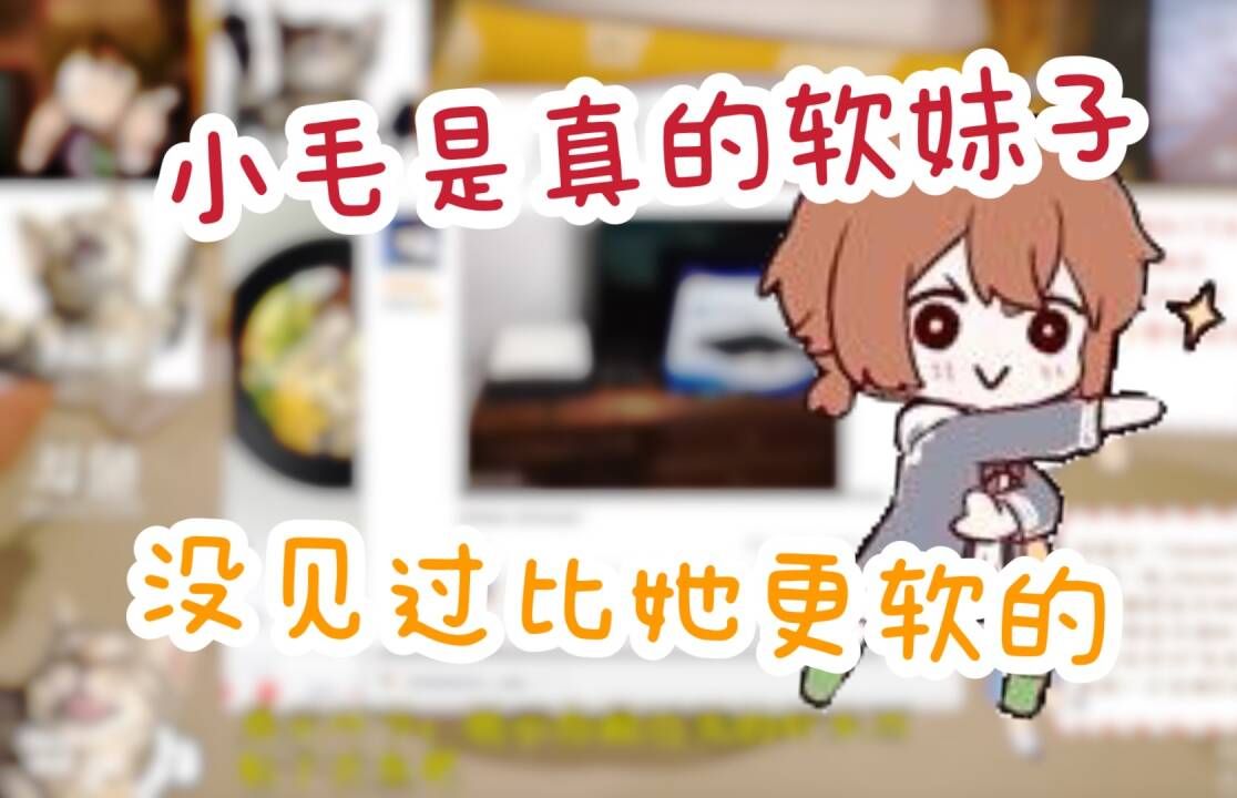 【hanser】小毛真的是软妹子哔哩哔哩bilibili