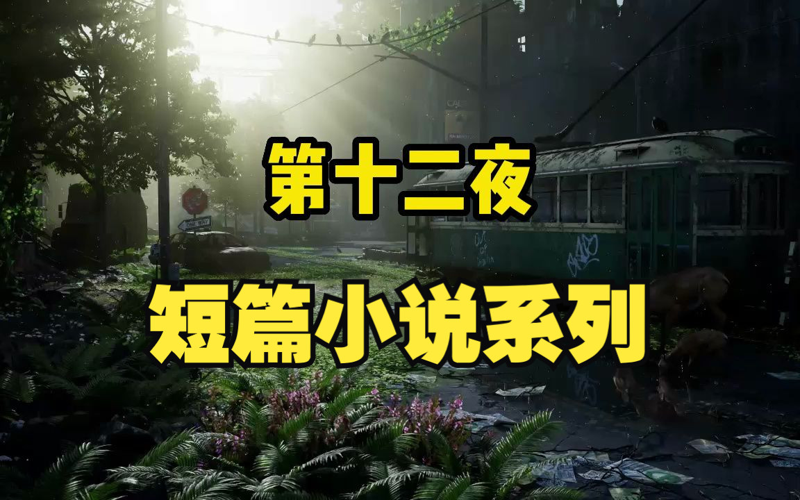 【有声短篇故事】《第十二夜 》 全集 恐怖惊悚悬疑 周德东著哔哩哔哩bilibili