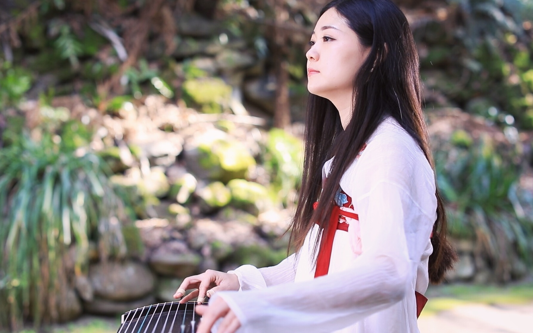 【古筝】情咒 Guzheng Cover& Spell of Love哔哩哔哩bilibili