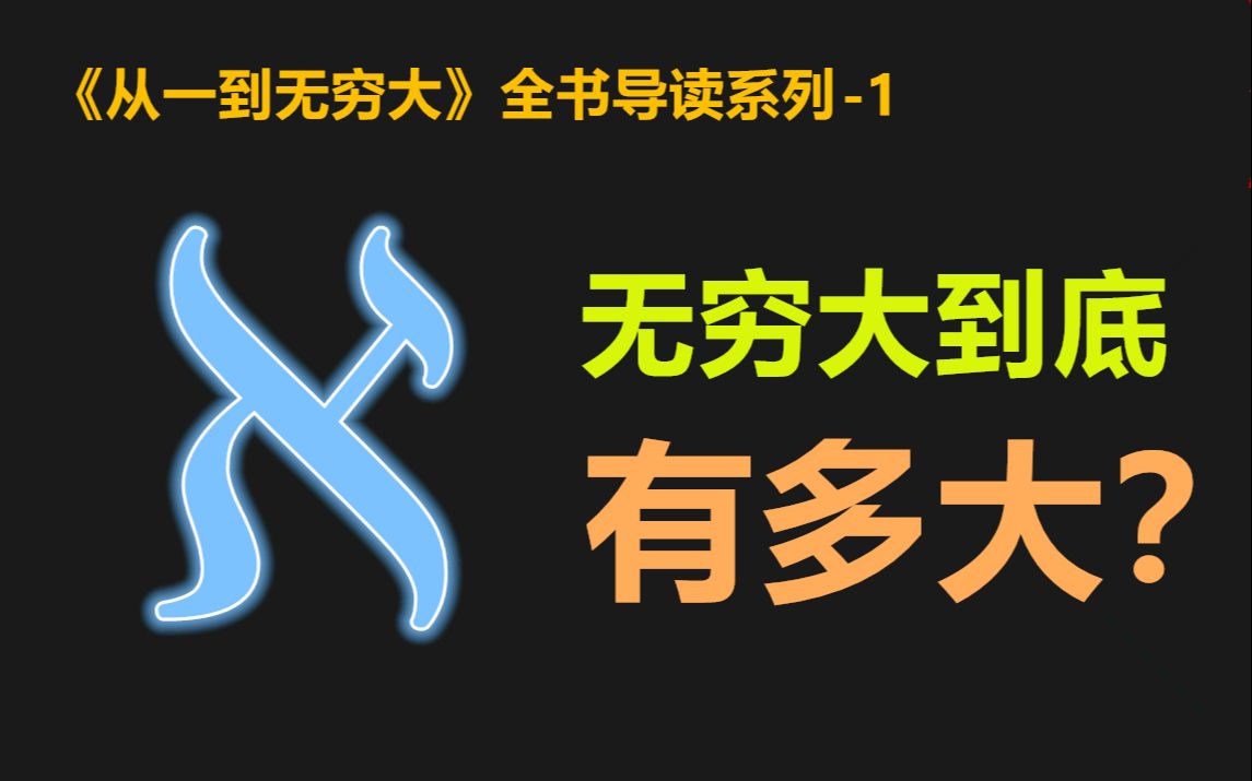 【读书笔记】古人们是如何计数的?无穷大究竟有多大?从一到无穷大01哔哩哔哩bilibili