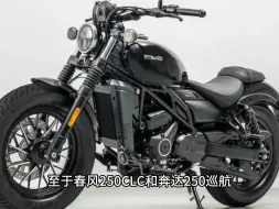 Descargar video: 12980元的双缸250水冷巡航车，到底能引起多大的风浪？