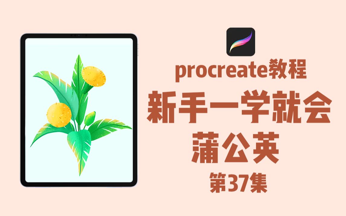 procreate教程|新手一学就会(第 37集)蒲公英哔哩哔哩bilibili