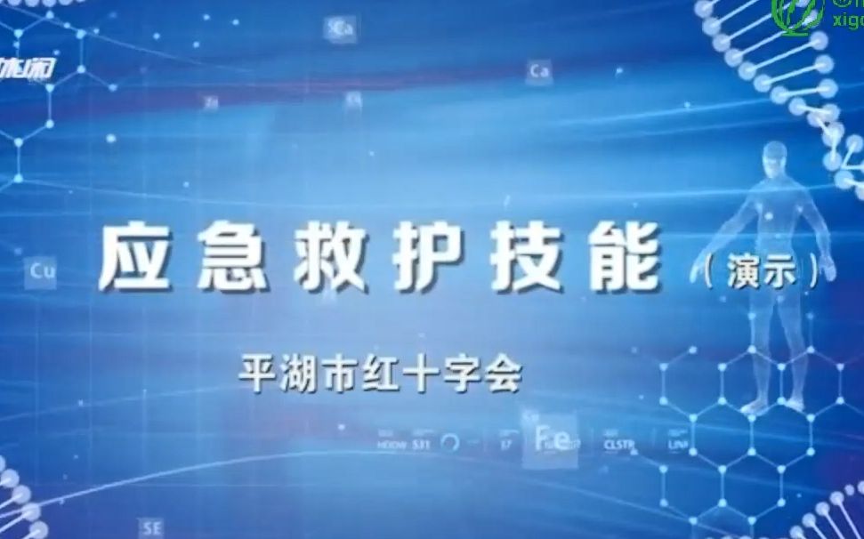 平湖红十字会应急救护技能演示哔哩哔哩bilibili