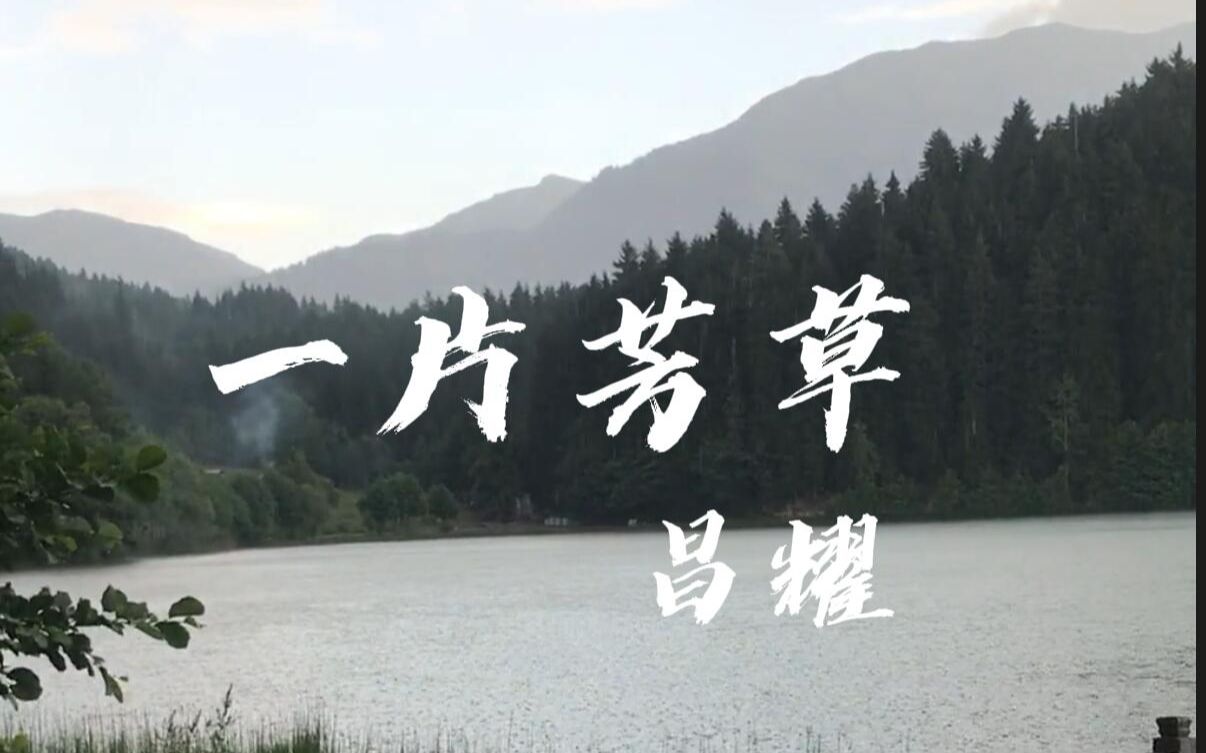 现代诗分享 | 《一片芳草》昌耀哔哩哔哩bilibili