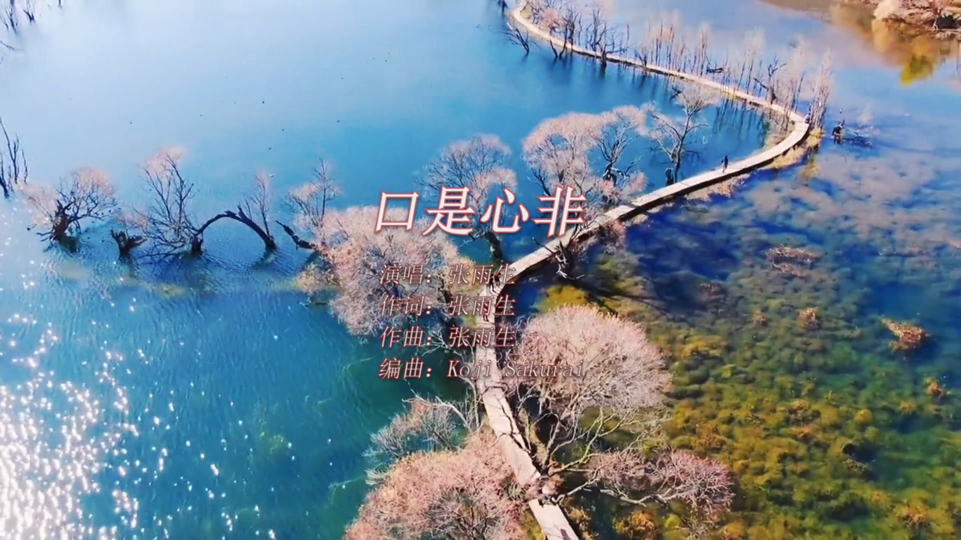 【经典100首】张雨生《口是心非》:爰情的故事,听过,看过,唱过!